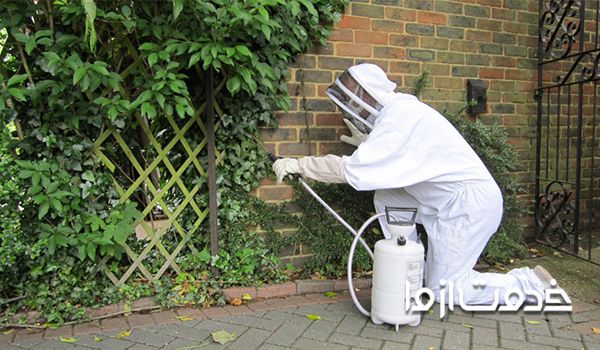 قیمت سمپاشی